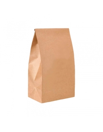 SACO PARDO 1KG C/500 - 22X15 (AL)